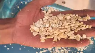 Cashew Cutting Machine | Dry Fruits Cutter | Almond  Dates  Raisins Cutting  | #dryfruits