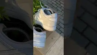 Nike Dunk Gray Fog🌫️