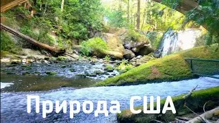 Дуже красива природа, варто подивитися.   Nature in the USA