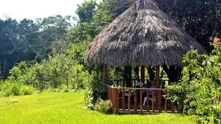 Belize Riverview Nursing Home - Facebook Cover Video