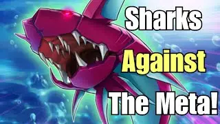 Shark 2025 &ndash; Rank 4 Spam & Xyz Swarm! Combo into Toadally Awesome | Yu-Gi-Oh! Master Duel