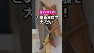 ダイソーの猫ハンモック500円