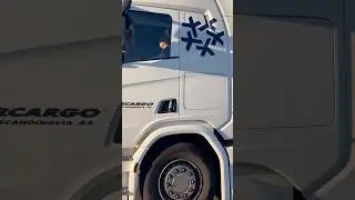 Everyday European Truck in Traffic | Satisfying Truck Footage