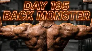 Day 195 On Stronger Back Transformation Challenge Workout 