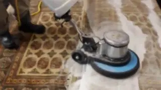 Wine Stain Removal from Bokhara Wool Area Rug