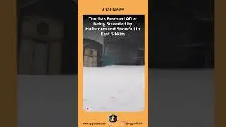 Tourists Rescued After Sudden Snowfall Near Tsomgo Lake | East Sikkim Weather Update