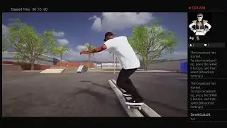 Skater XL Online Homies Sesh