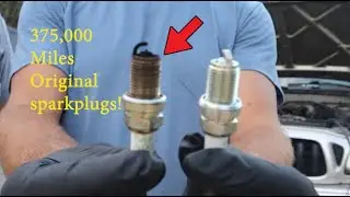 Yard Sale Wrap-Up, Beehive Check & 2003 Toyota Tacoma Spark Plug, Wire & Coil Pack Change&rdquo;