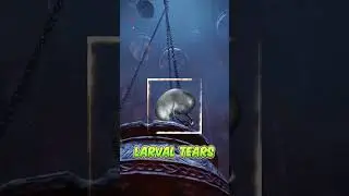 Collect Larval Tears To Respec your Stats in Elden Ring  #shadowoftheerdtree