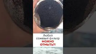 Разрушаем МИФ о чистке сажевого фильтра за 30 минут!