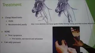 Caprine Arthritis Encephalitis