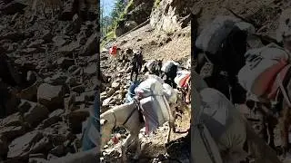 Rural transport media #explore #mountainswiev #viral #travel #offroad #nature #travel #viral #shorts