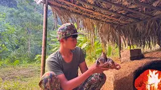 The Young Soldier and His Wild Birds &ndash; A Peaceful Corner in the Mountains