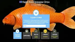 ПРОВЕРЯЕМ ФАРМ СЕРЕБРА и КОИ на МЕДНОМ,ТРОЛЛИНГ на МОРЕ и УСАЧ,ТАЙМЕНЬ РУССКАЯ РЫБАЛКА 4 РР4