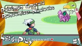 [TPU] Let's Play Pok&eacute;mon Emerald Randomizer Nuzlocke #1 - CaturFace
