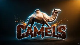 CAMELS | Dancing Stars | First Love Center 