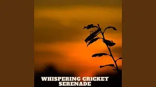 Tranquil Cricket Ambience for Peaceful Thoughts