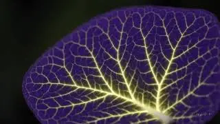 [AI] 