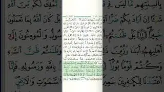 048 | Surat Al-Fath by Mustapha Gharbi Riwayat Warsy