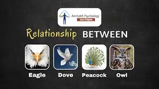 #eagle #owl #dove #peacock  Correlation video of EAGLE OWL DOVE PEACOCK by Amitabh Karmakar