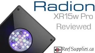 Ecotech Radion XR15 Pro Review