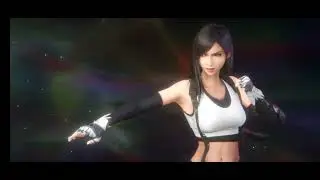 Final Fantasy VII Ever Crisis Tifa Feather Style Banner