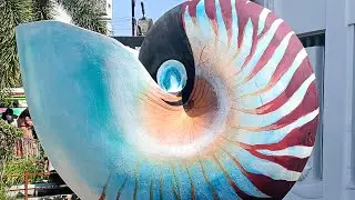 India seashell museum 