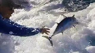 Catch and Release Fishing for Pelagic Fish