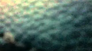 Sleepwalking Cover-Stitched Wings