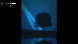 (FREE) c4rlinhxs type beat x pluglip x ambience (@prod.whxter )