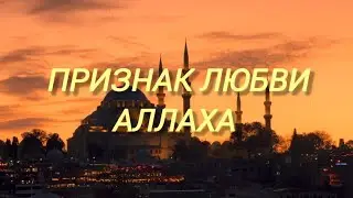 Признак любви Аллаха к тебе #video #Аллах #рек #коран #хадис #пророк #намаз #ислам #дуа #ангелы #топ