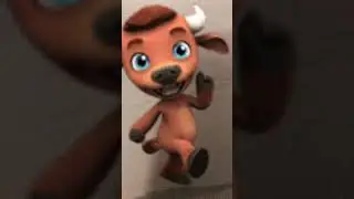 #moocow #cowdance