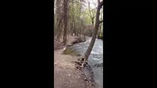 Huron river Millrace 3