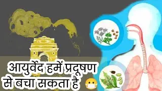 The best Ayurvedic remedy ( जड़ी बूटी ) to prevent pollution-related diseases...