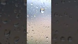Gentle Rain on Glass Loop