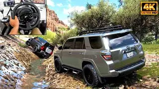 Forza Horizon 5  Realistic Driving LIVE 🚘 | Ultra Graphics Gameplay