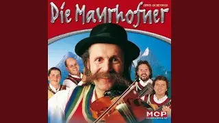 Hallo kleiner Zithermann