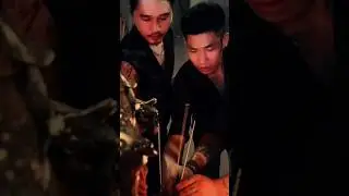 C&oacute; phước c&ugrave;ng hưởng.......c&oacute; hoạ....? #đ&ocirc;tattoo #shortvideo #phimmoi2025