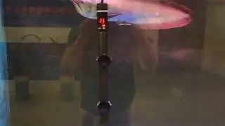 A smart Aquarium heater with Led display