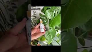 How to Use GROW- Our Liquid Seaweed Fertilizer