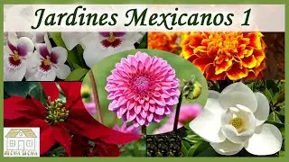 Jardines Mexicanos Prehispanicos, Jardines Flotantes de Xochimilco y Jardines Botanicos de Mexico