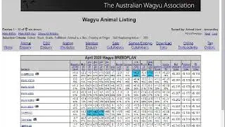 Wagyu EBV Enquiries