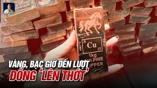 ĐỒNG LÀ NẠN NHÂN MỚI CỦA CƠN SỐT FOMO: VÀNG BẠC GIỜ QUÁ XA TẦM VỚI