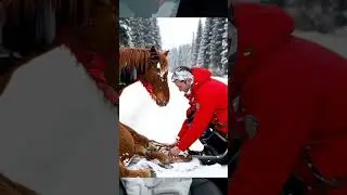 Hero Rescues Injured Horse 🐴 | Emotional Animal Rescue Story | True Kindness Still Exists ❤️ #anime