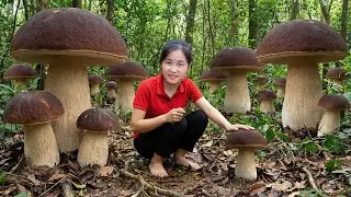 Harvesting 1000+ GIANT Chicken Thighs Mushroom Deep in the Forest To Sell | Cook Mushroom Five Color