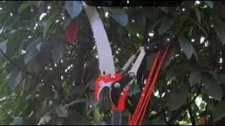 telescopic tree pruner