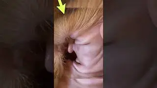 Incredible Rare Photos That Will Leave You Speechless | Part 86