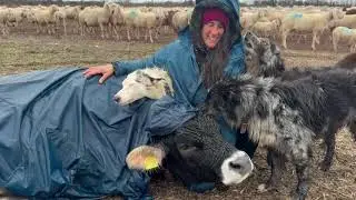 Giacca Lunga Uragan-Tex 