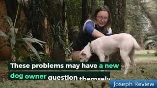 Brain Training For Old Dogs Review - READ THIS FIRST!!!