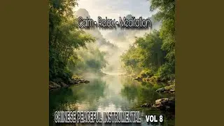 Chinese Peaceful Instrumental, Vol. 8
